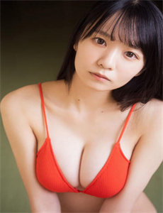 12生肖传奇